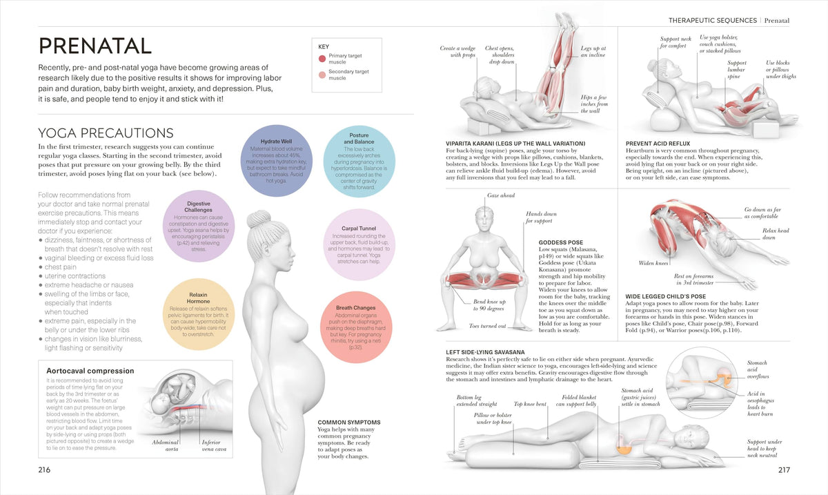 Science of Yoga: Understand the Anatomy and Physiology to Perfect Your Practice