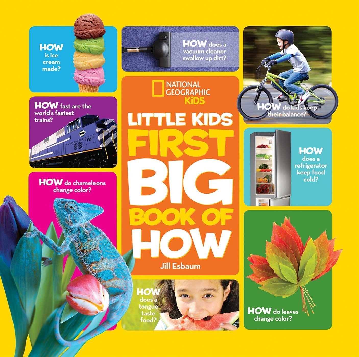 National Geographic Little Kids First Big Book of How by JILL ESBAUM (Author) book cover
