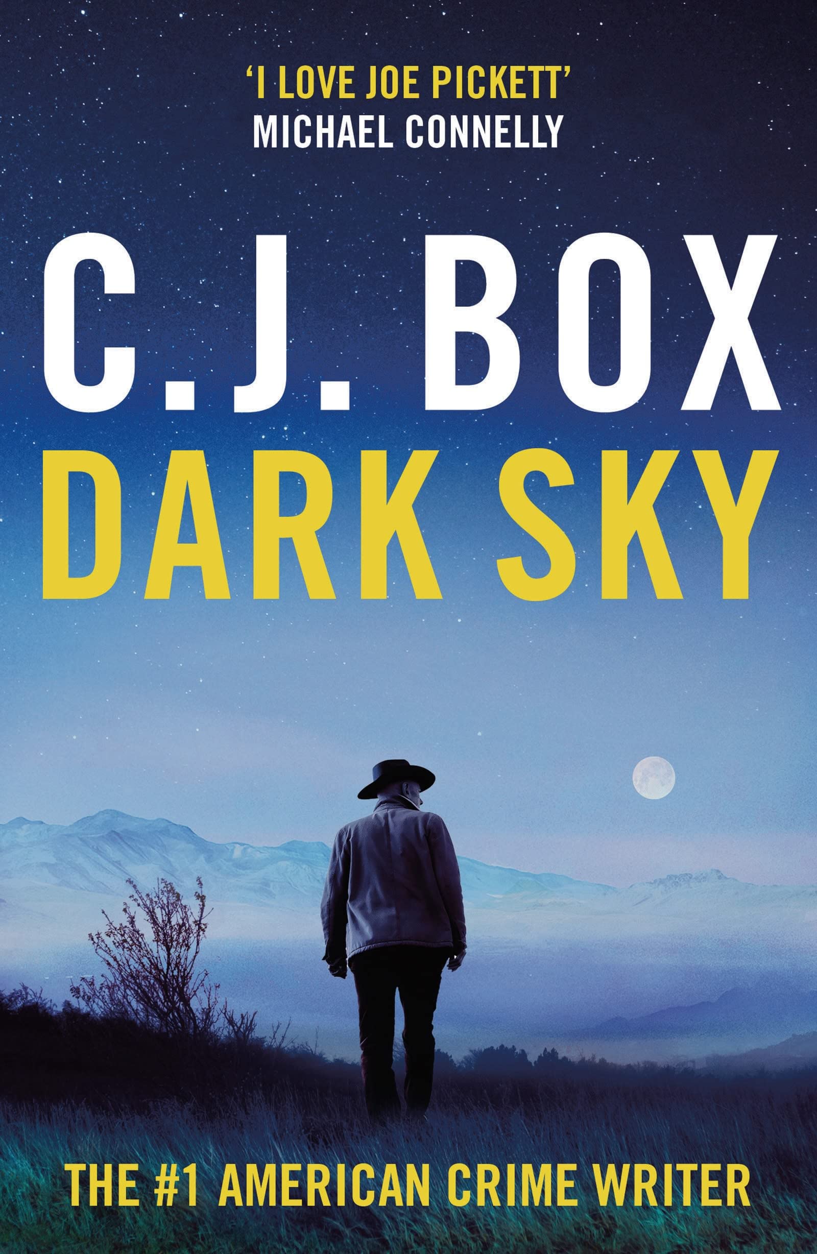 Dark Sky book cover