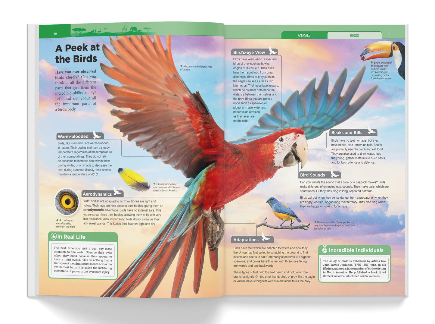 Knowledge Encyclopedia - Box Set of 8 Books for Children