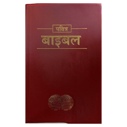 Hindi Holy Bible Easy-To-Read Version (ERV) | Revised Vinyl Bound Paperback | Old & New Testament Complete Bible | Simple Hindi Translation | Clear & ... for Prayer, Study & Gifting (2019 Revised)