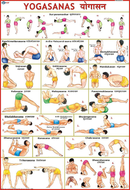 Yoga Chart ( 70 x 100 cm ) [wall_chart] Vidya Chitr Prakashan,yoga [Jan 01, 2016]…