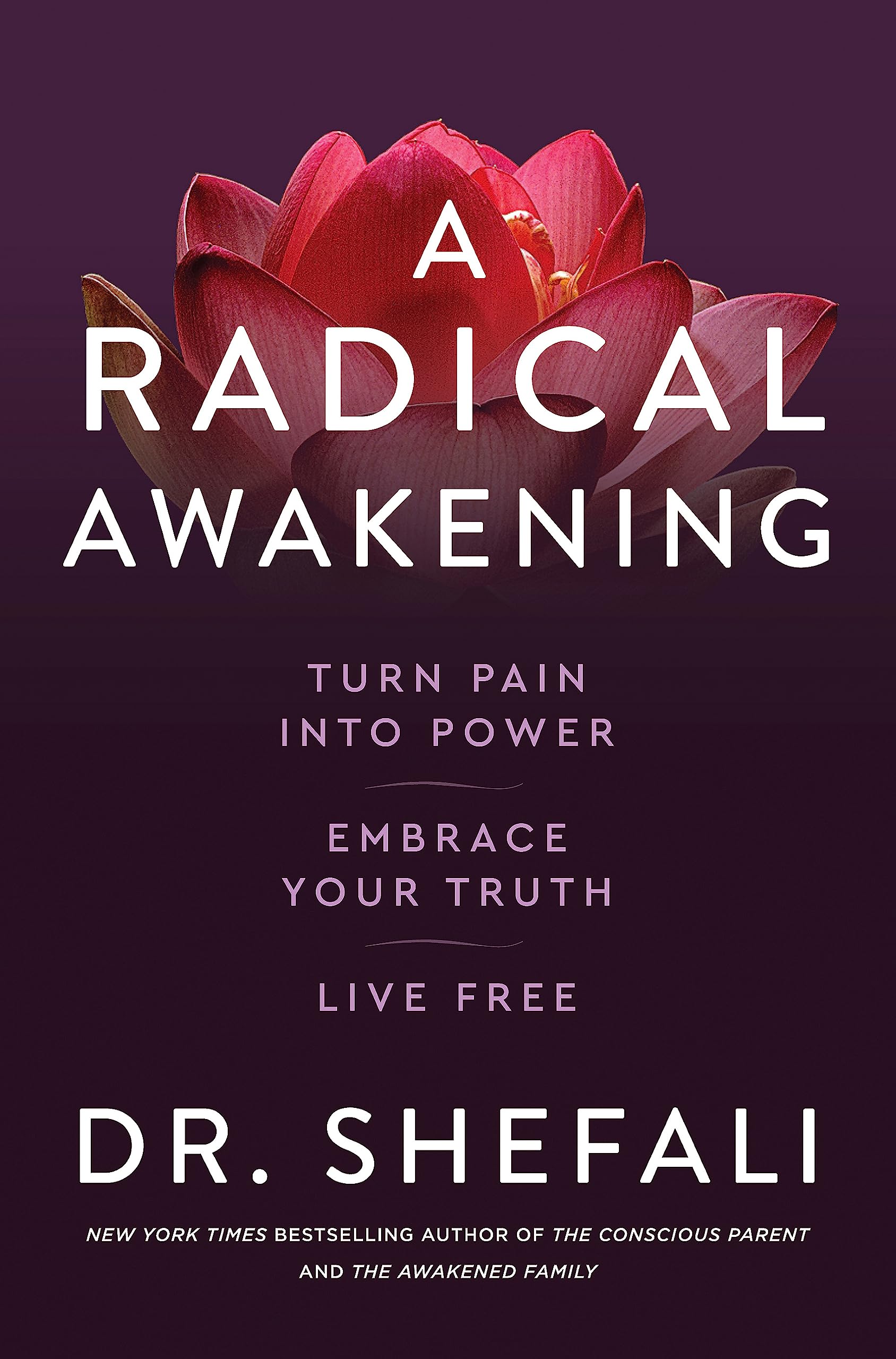 A Radical Awakening book cover