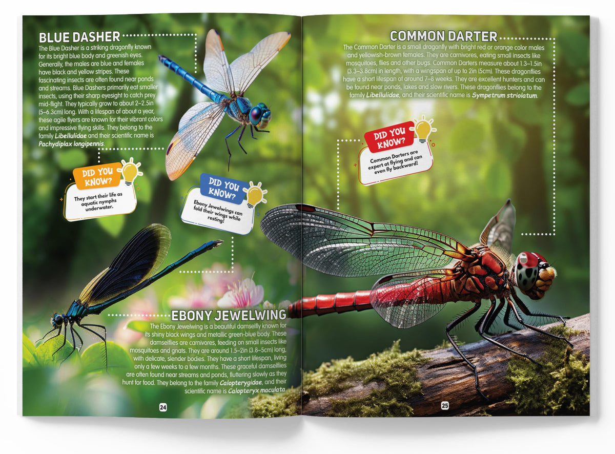 Explore Fantastic World of Insects And Bugs Picture Encyclopedia
