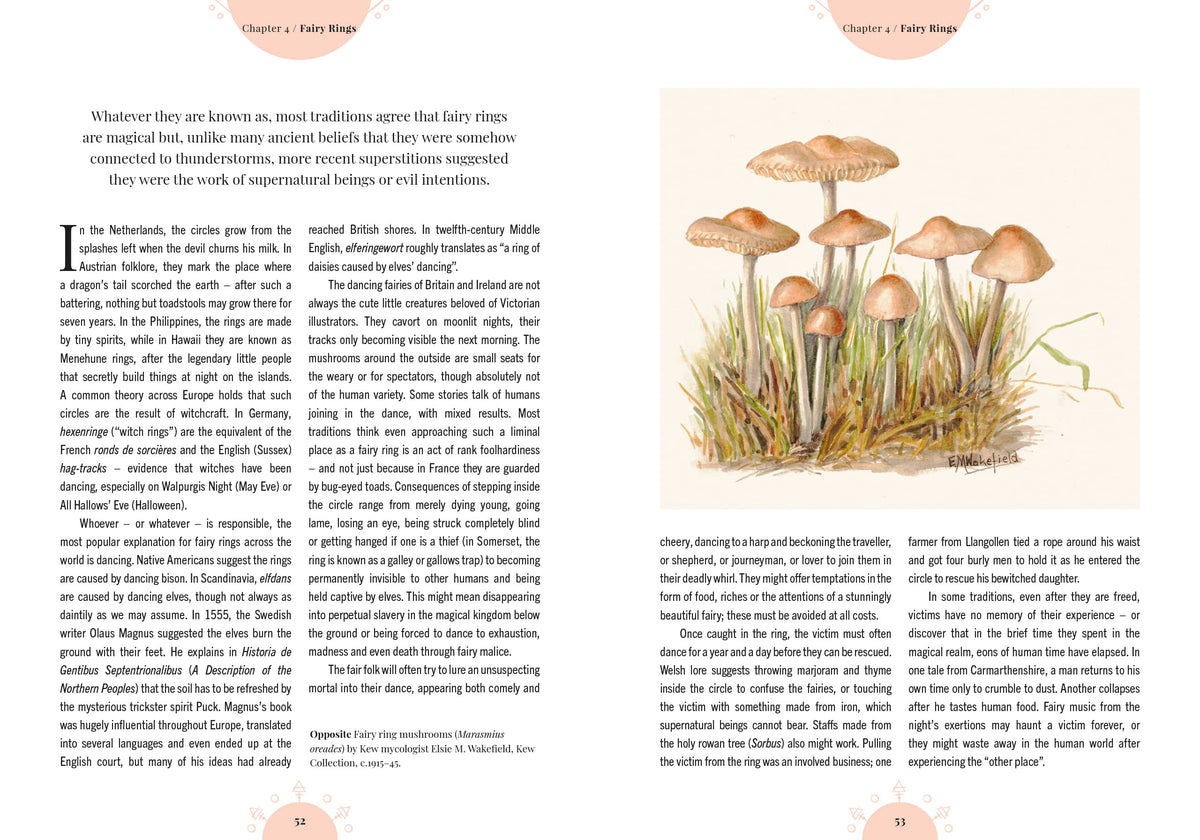 Kew - The Magic of Mushrooms: Fungi in folklore, superstition and traditional medicine (Royal Botanic Gardens, Kew)