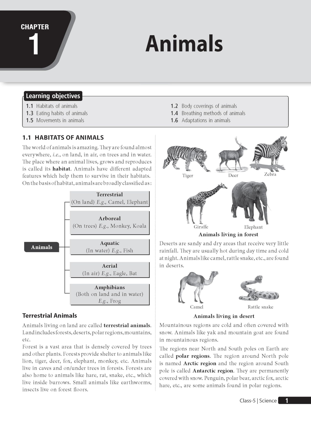 MTG Science (ISO) Olympiad Prep Guide Class 5 | Detailed Theory, Exercise with Self Test For Practice | SOF Olympiad Books For Exam 2026-27 (Useful For Level-1 & 2)