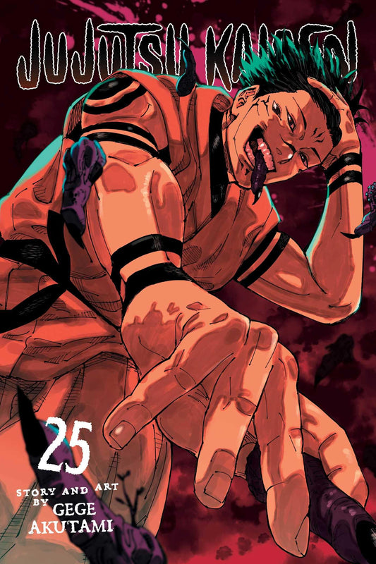 Jujutsu Kaisen 25: Volume 25