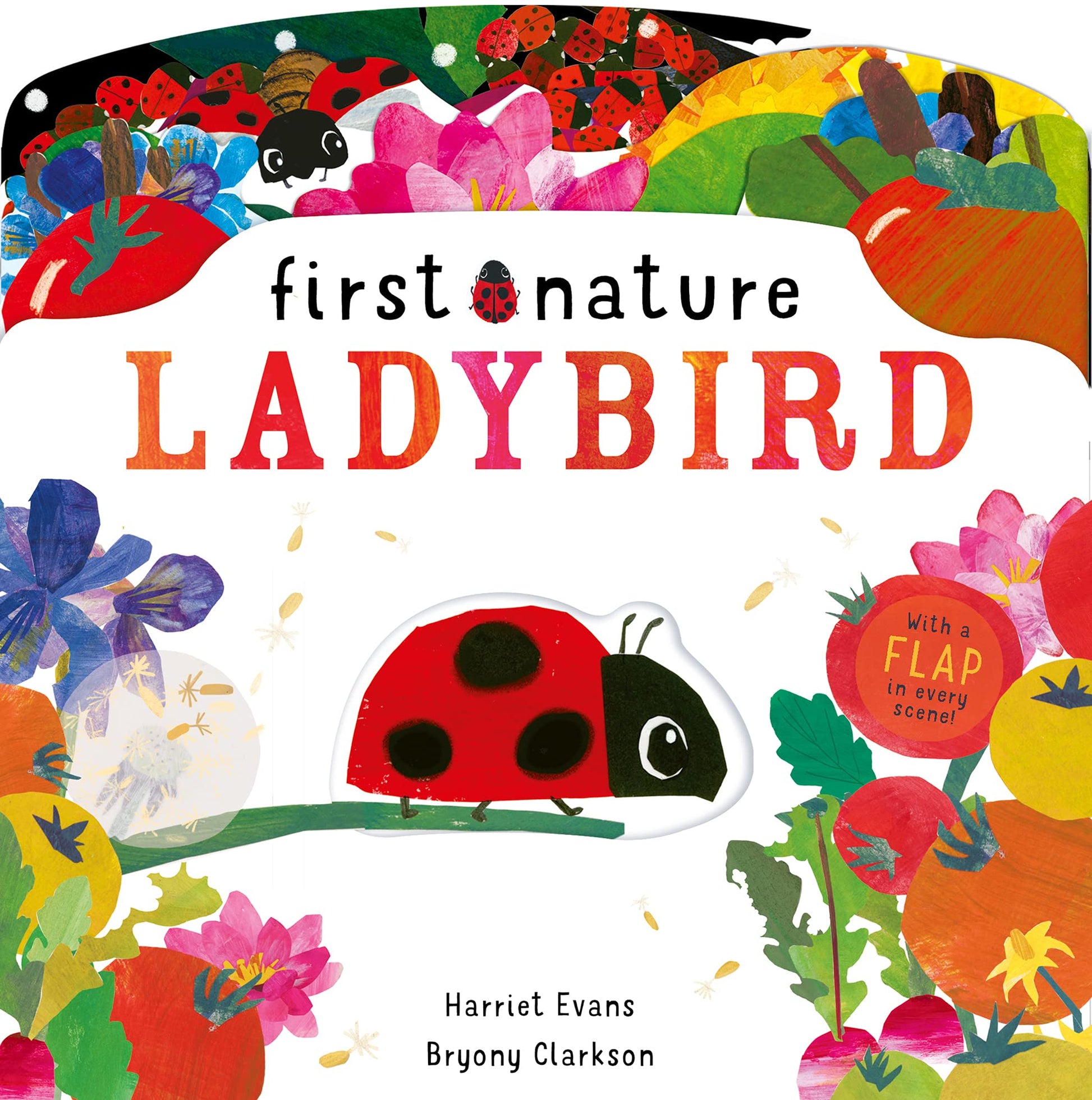 Ladybird (First Nature) book cover