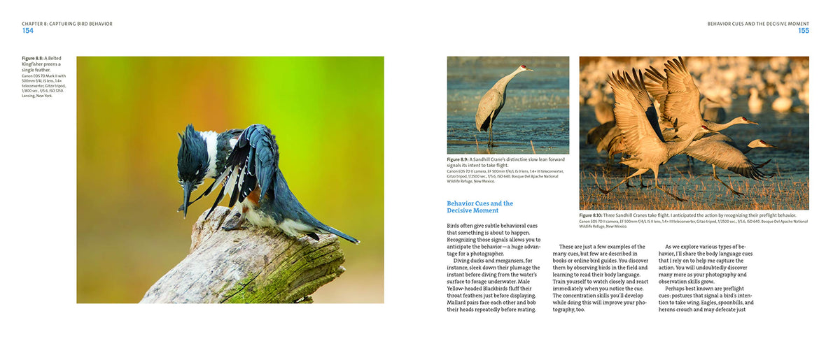 Mastering Bird Photography: The Art, Craft, and Technique of Photographing Birds and Their Behavior