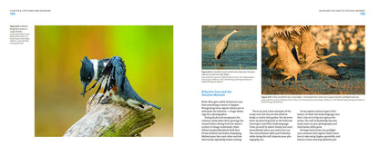 Mastering Bird Photography: The Art, Craft, and Technique of Photographing Birds and Their Behavior