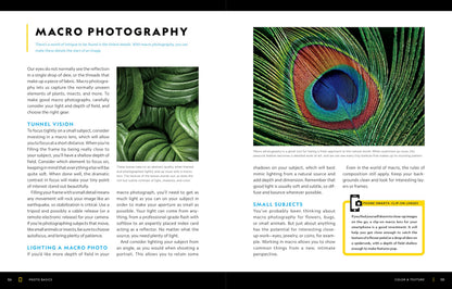 National Geographic Photo Basics: The Ultimate Beginner's Guide to Great Photography