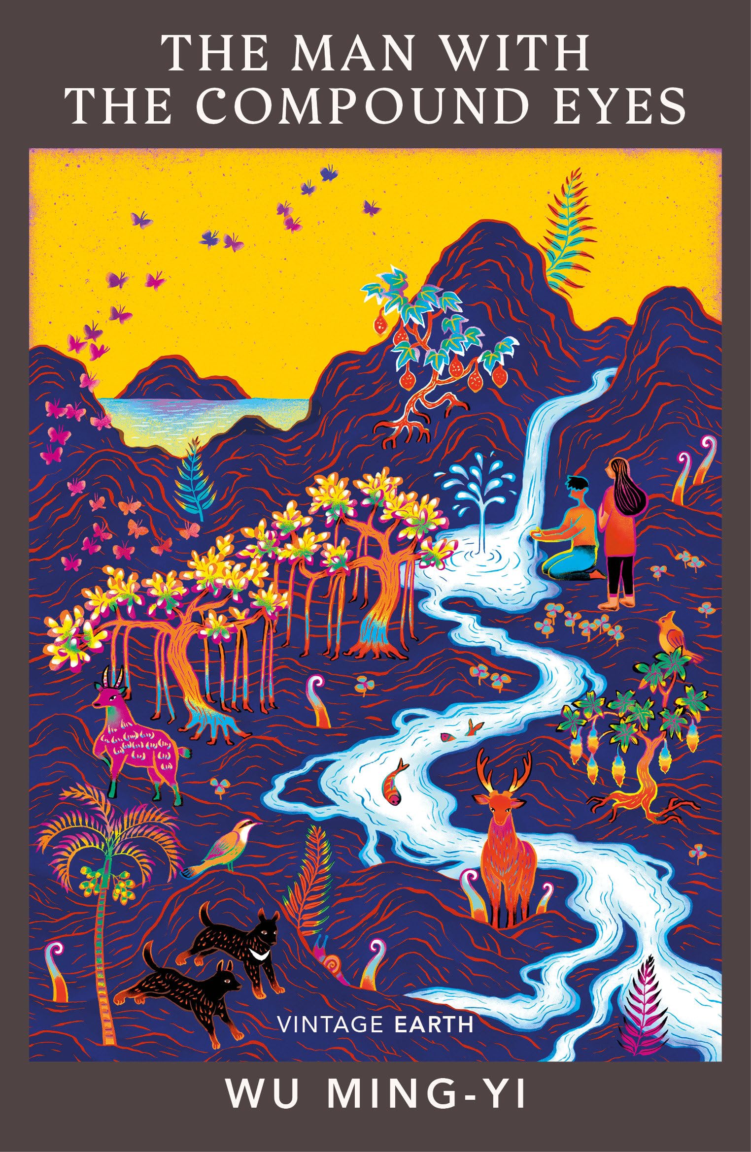 The Man with the Compound Eyes book cover