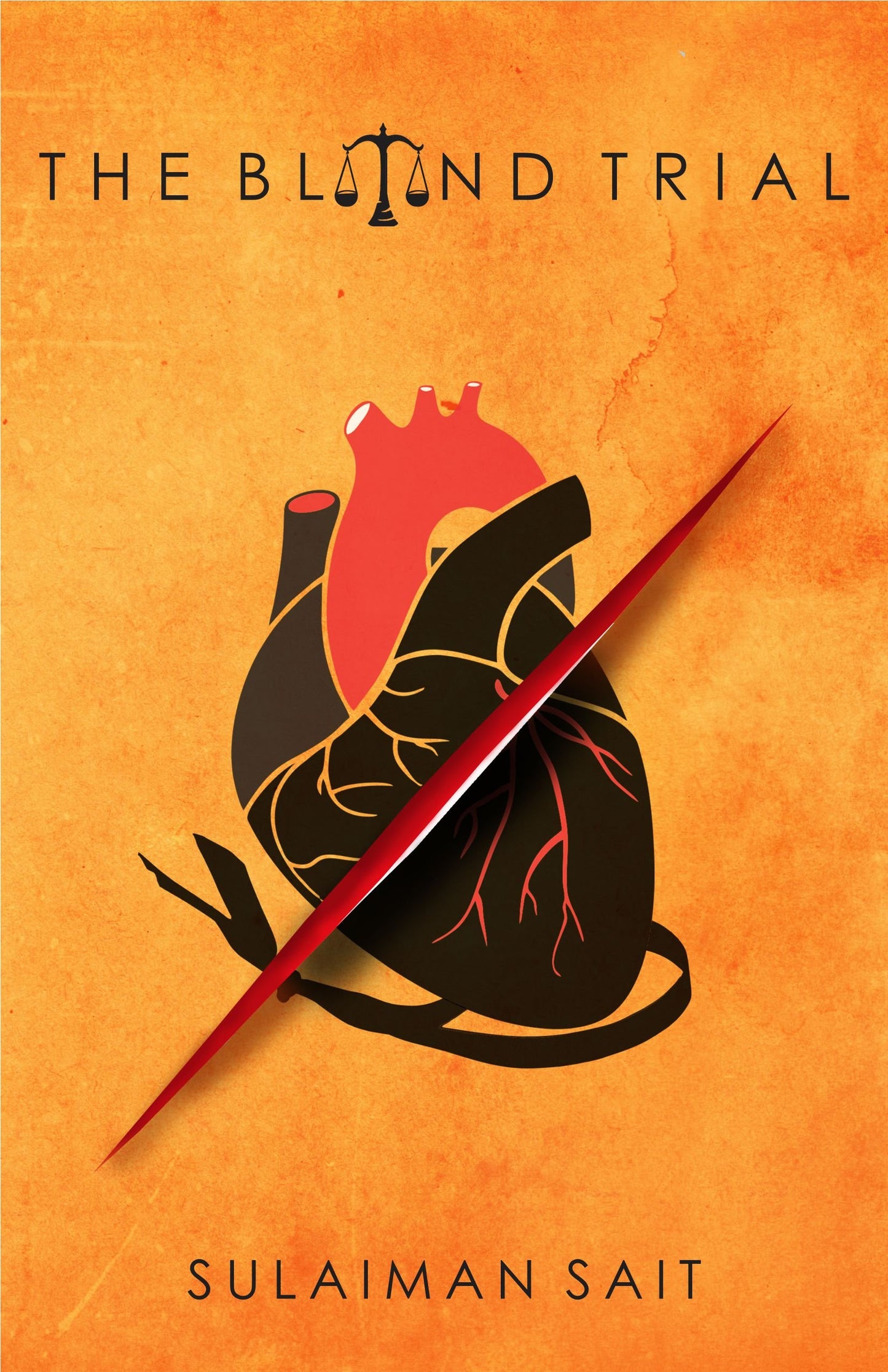 The blind Trial book cover