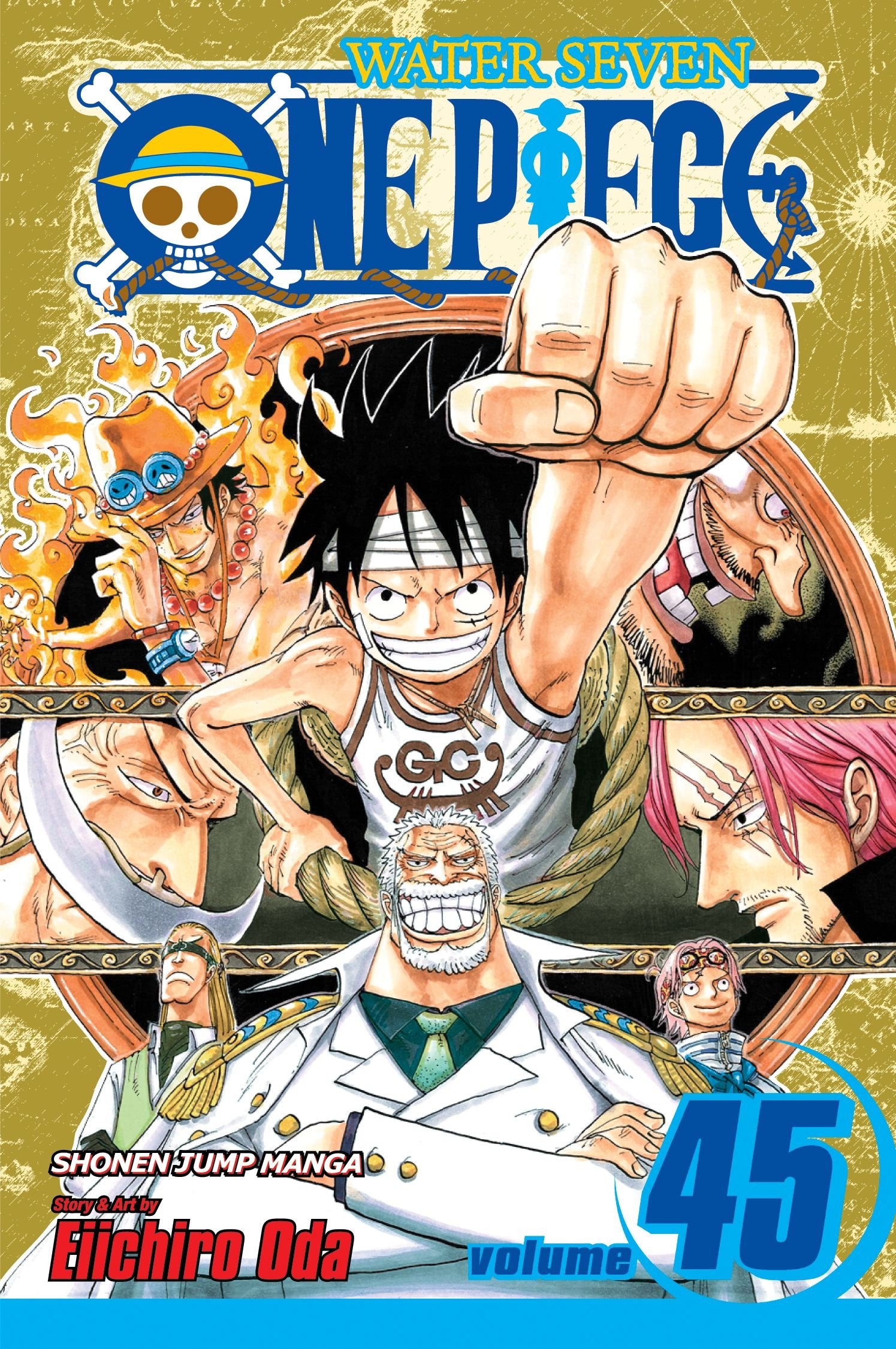 One Piece, Vol. 45: You Have My Sympathies  