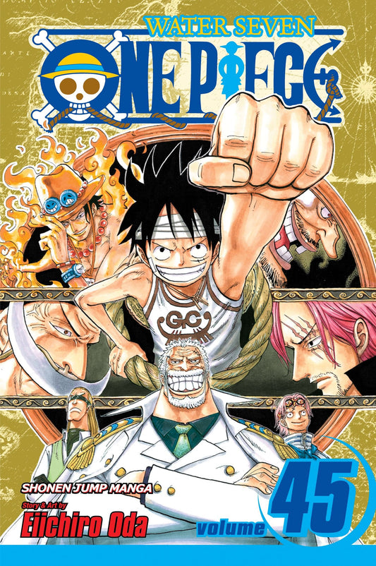 One Piece, Vol. 45: You Have My Sympathies  