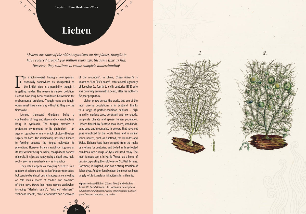 Kew - The Magic of Mushrooms: Fungi in folklore, superstition and traditional medicine (Royal Botanic Gardens, Kew)