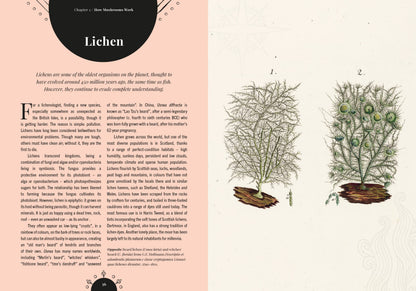 Kew - The Magic of Mushrooms: Fungi in folklore, superstition and traditional medicine (Royal Botanic Gardens, Kew)