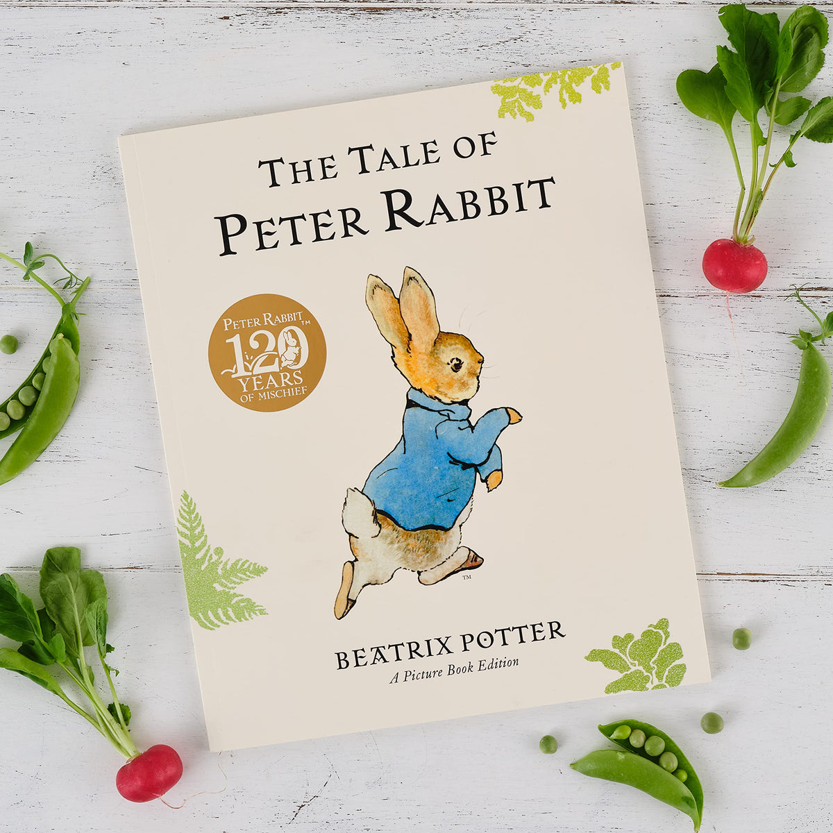 The Tale of Peter Rabbit Picture Book