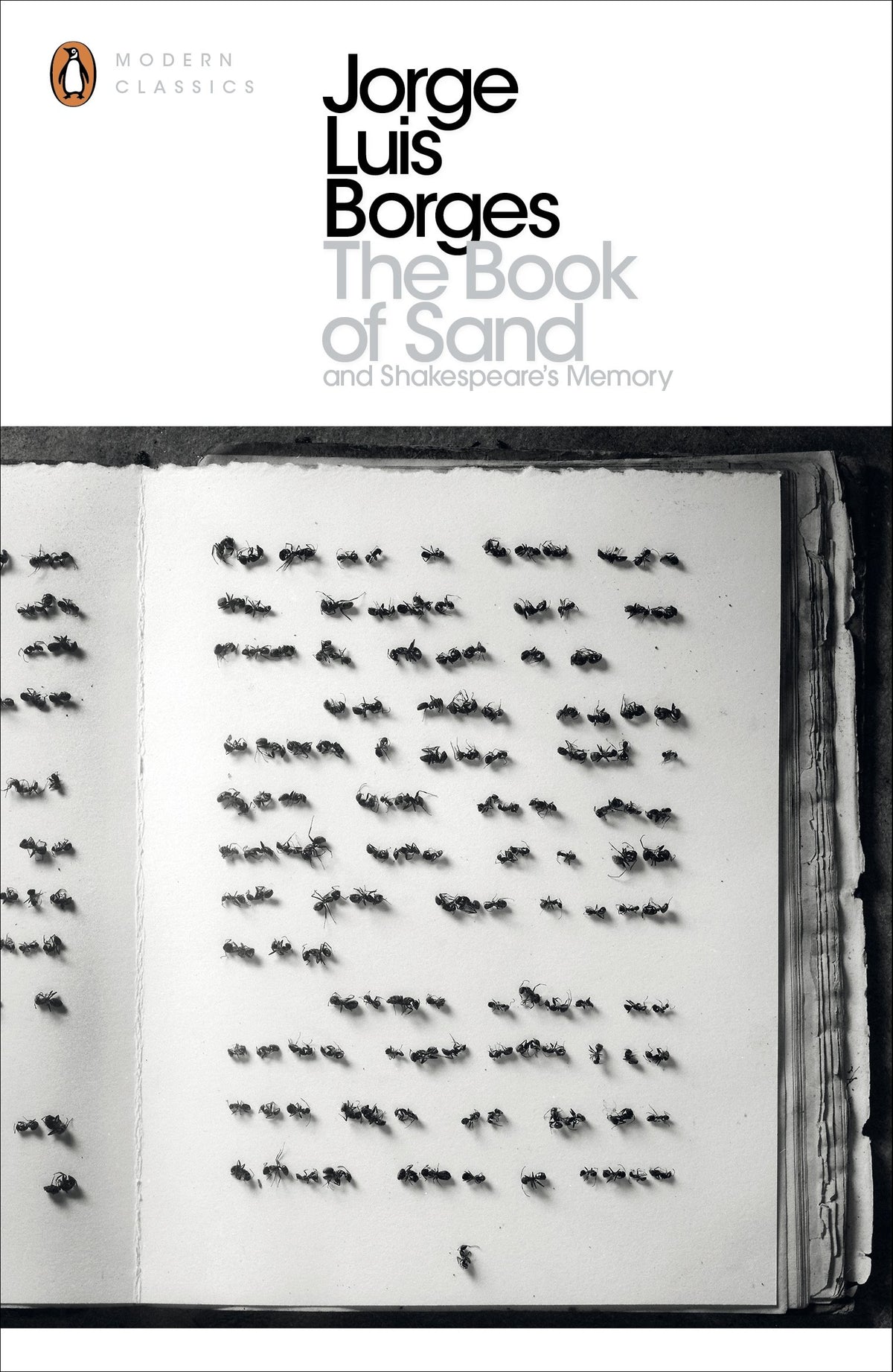 Book Of Send & Shakespeares Memory book cover