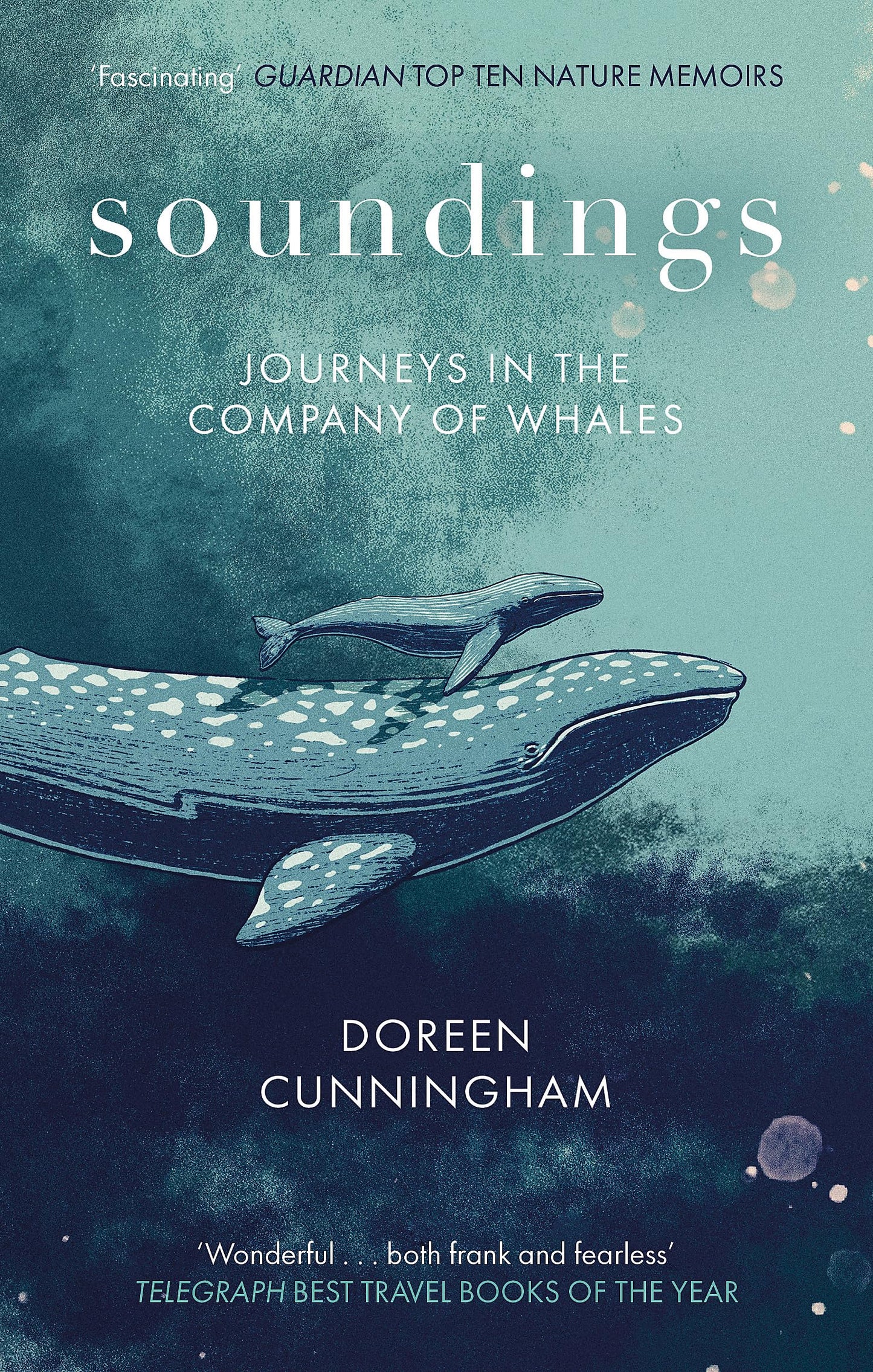 Soundings: Journeys in the Company of Whales book cover