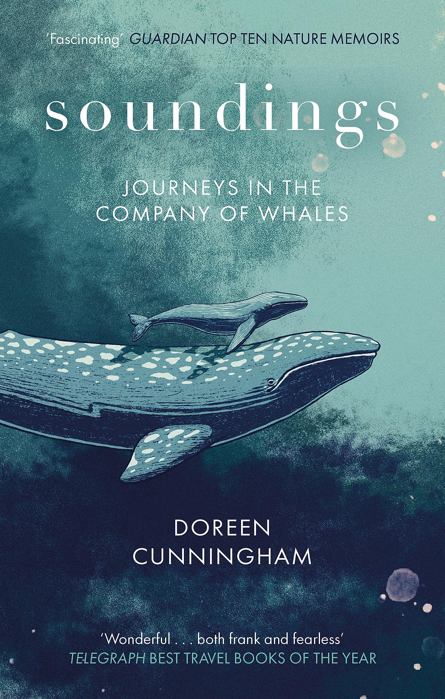 Soundings: Journeys in the Company of Whales book cover