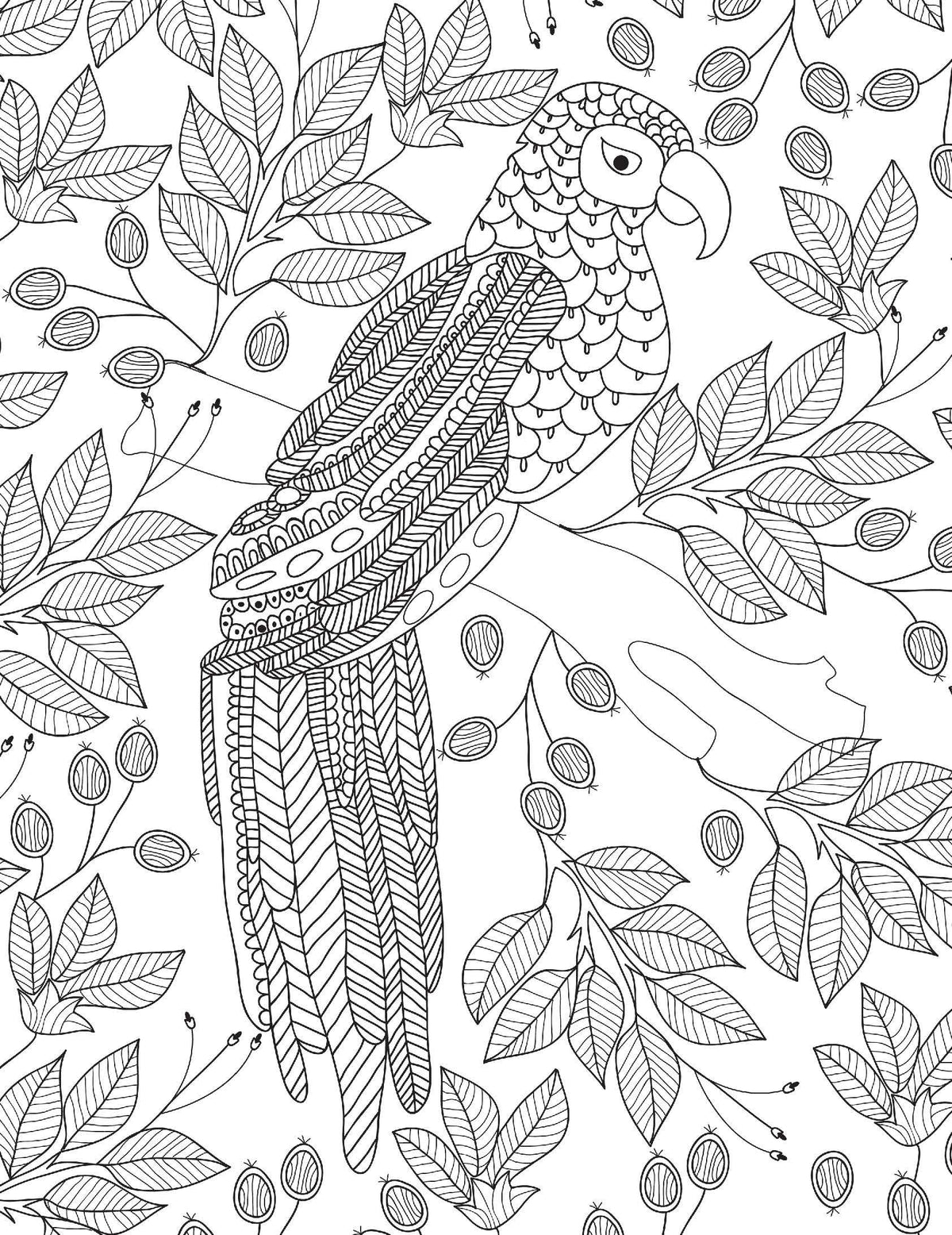 Nature Adult Colouring Book for Peaceful Creativity and Stress Relief | Beautiful Designs Inspired by Flowers, Birds, Butterflies & More for Relaxation and Mindful Expression