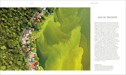 Atlas of Botany: An Exploration of Plants Across Time and Around the World
