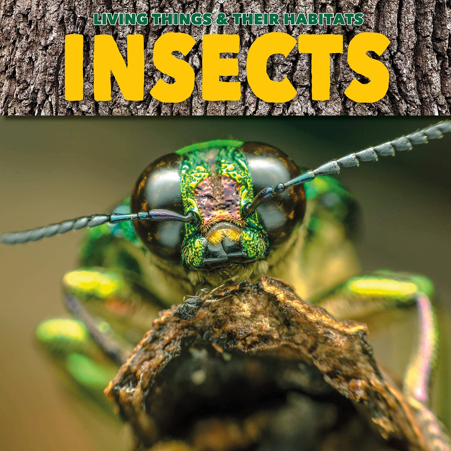 Living Things and Their Habitats: Insects book cover