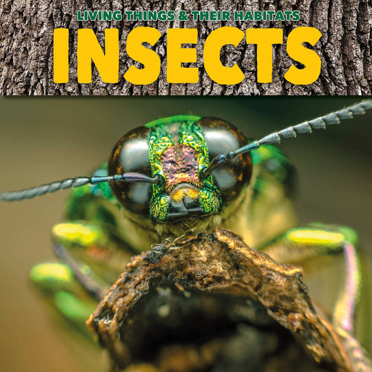 Living Things and Their Habitats: Insects book cover