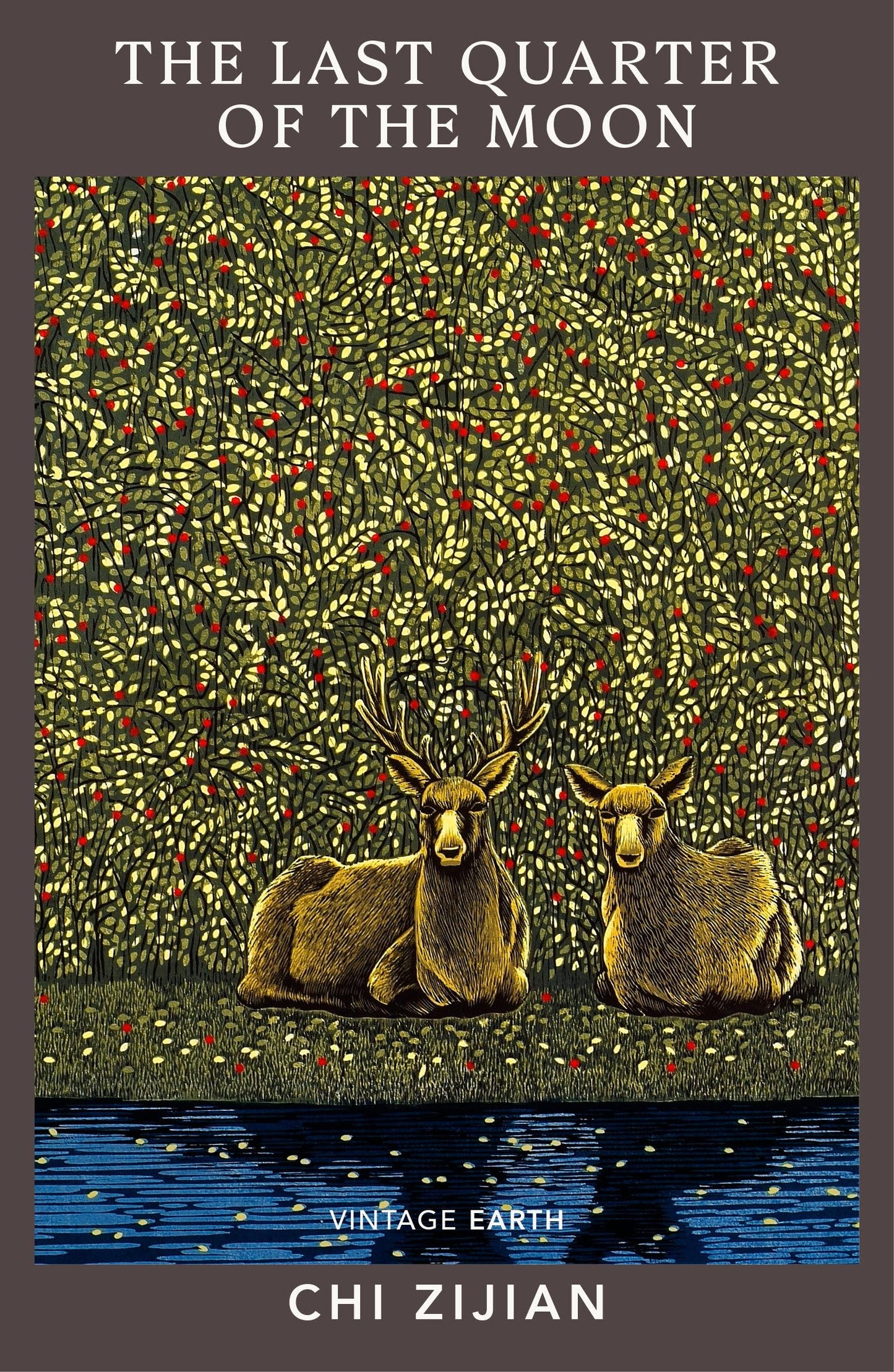 The Last Quarter of the Moon book cover