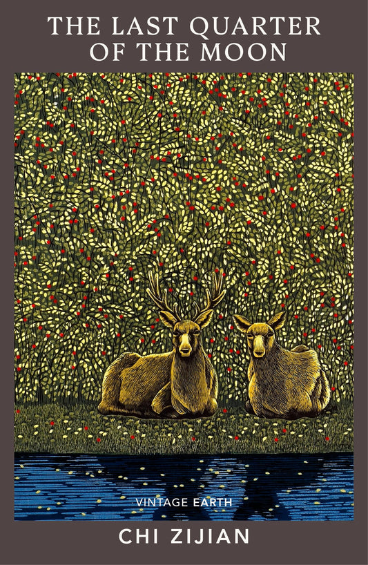 The Last Quarter of the Moon book cover