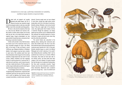 Kew - The Magic of Mushrooms: Fungi in folklore, superstition and traditional medicine (Royal Botanic Gardens, Kew)