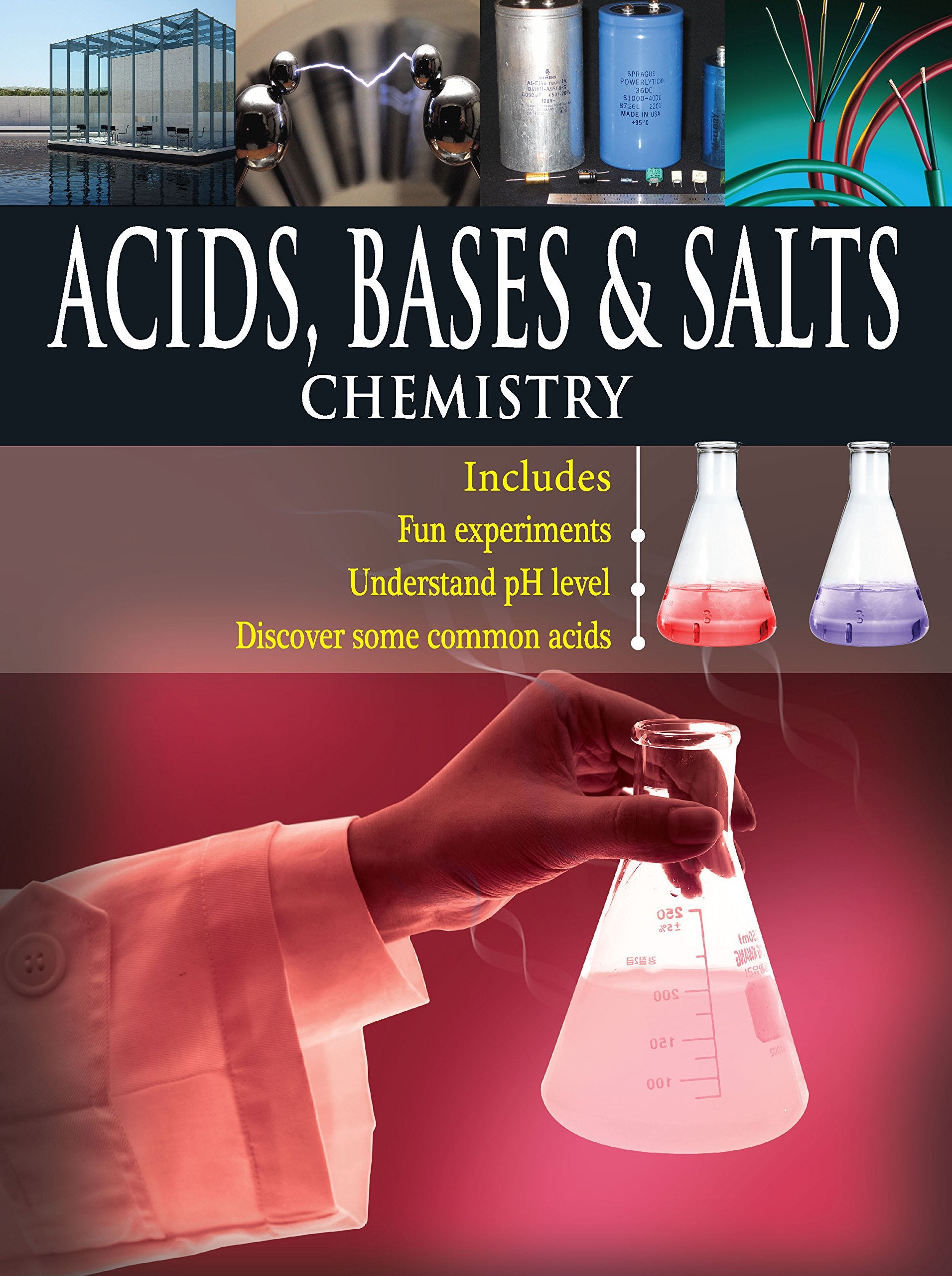Acid Bases & Salts book cover