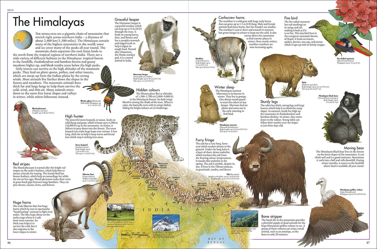 The Animal Atlas: A Pictorial Guide to the World's Wildlife