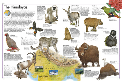 The Animal Atlas: A Pictorial Guide to the World's Wildlife