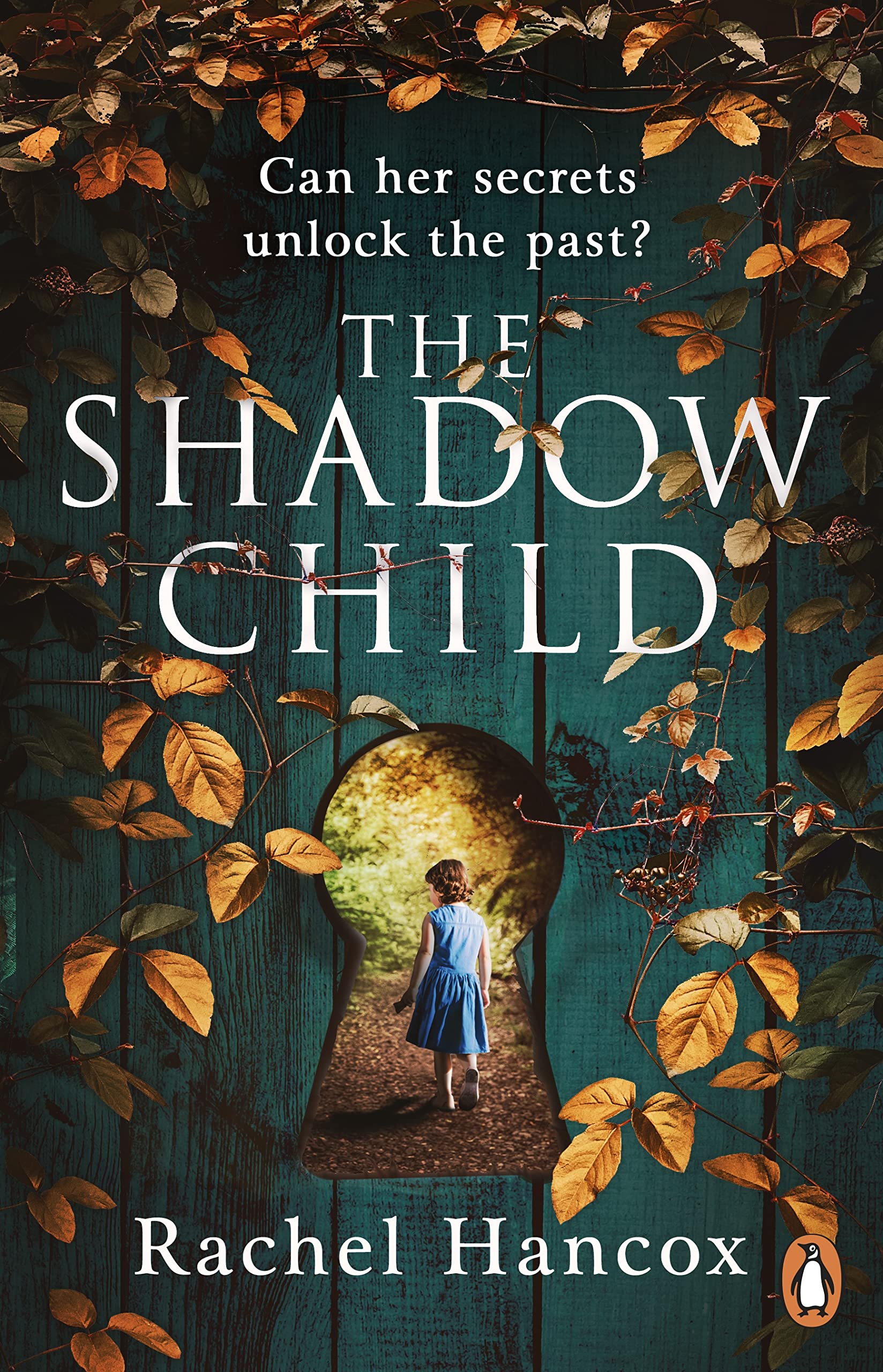 The Shadow Child book cover
