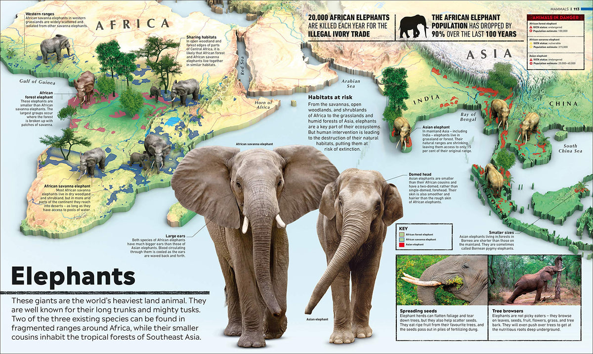 What's Where on Earth? Animal Atlas: The World's Wildlife as You've Never Seen it Before (DK Where on Earth? Atlases)