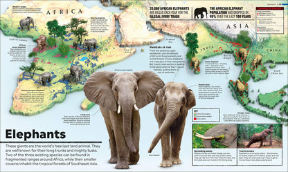 What's Where on Earth? Animal Atlas: The World's Wildlife as You've Never Seen it Before (DK Where on Earth? Atlases)