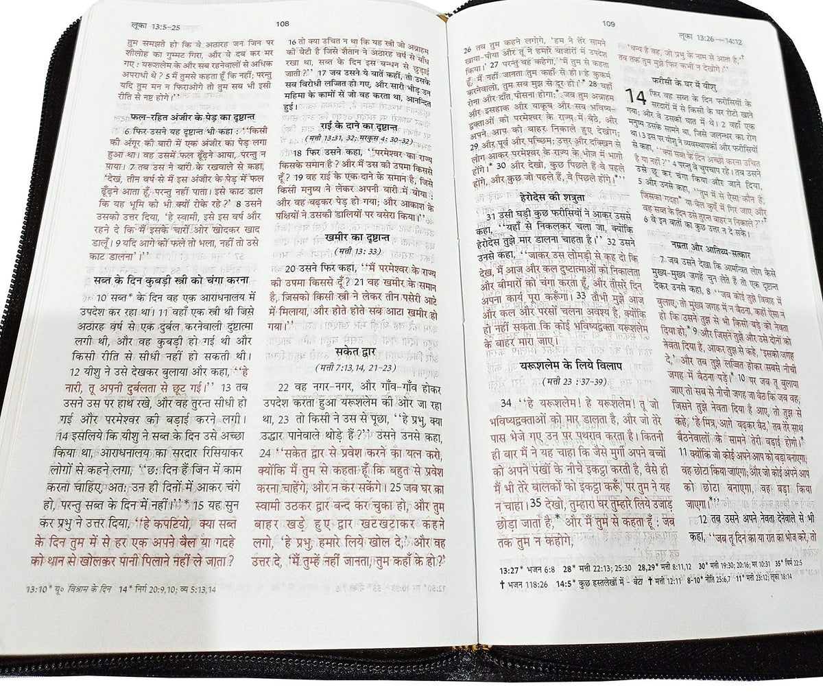 Holy Bible Hindi (Red Letter Edition) Zip Golden Edge Contains Old and New Testament BSI