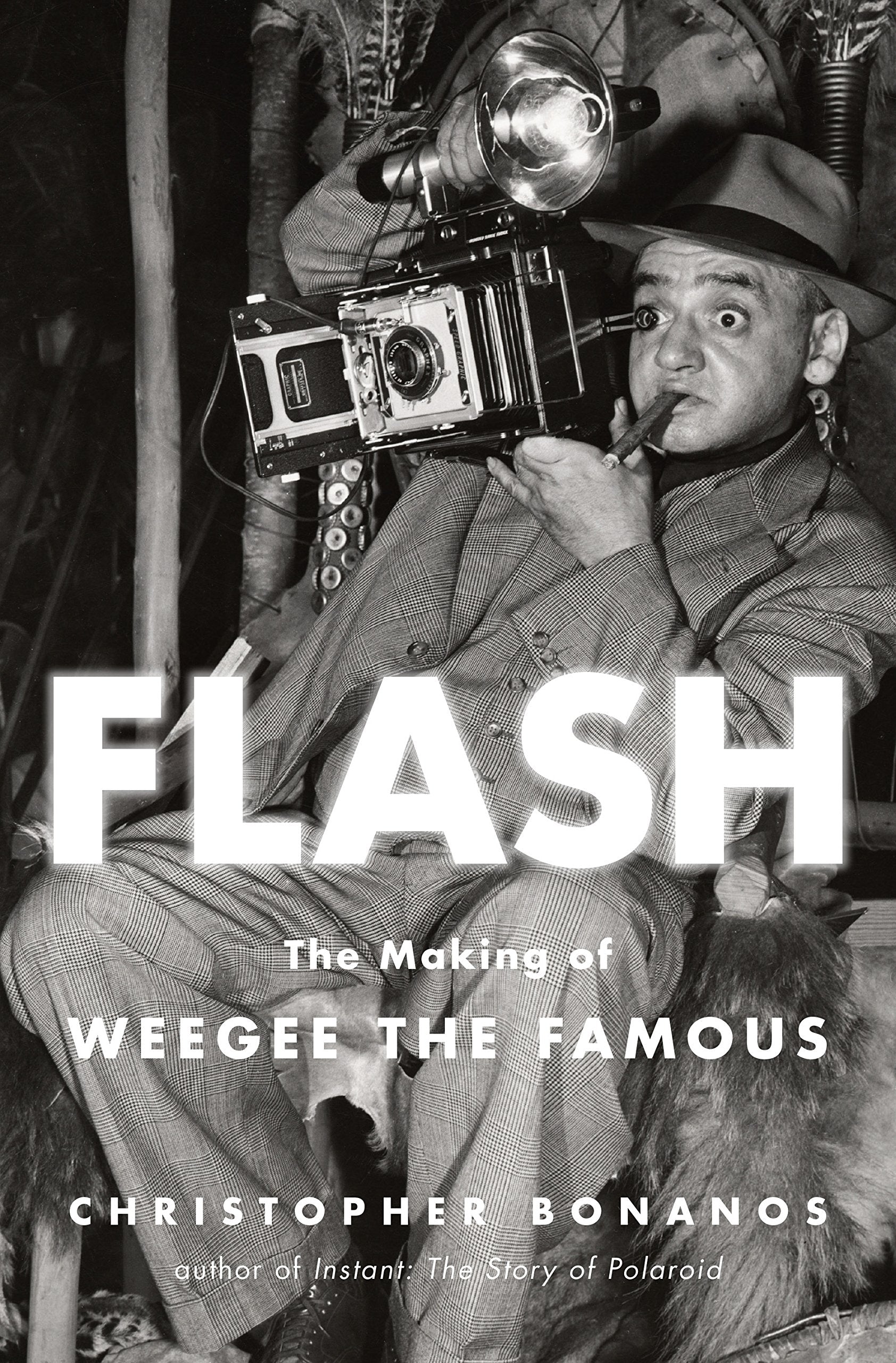 Flash: The Making of Weegee the Famous book cover
