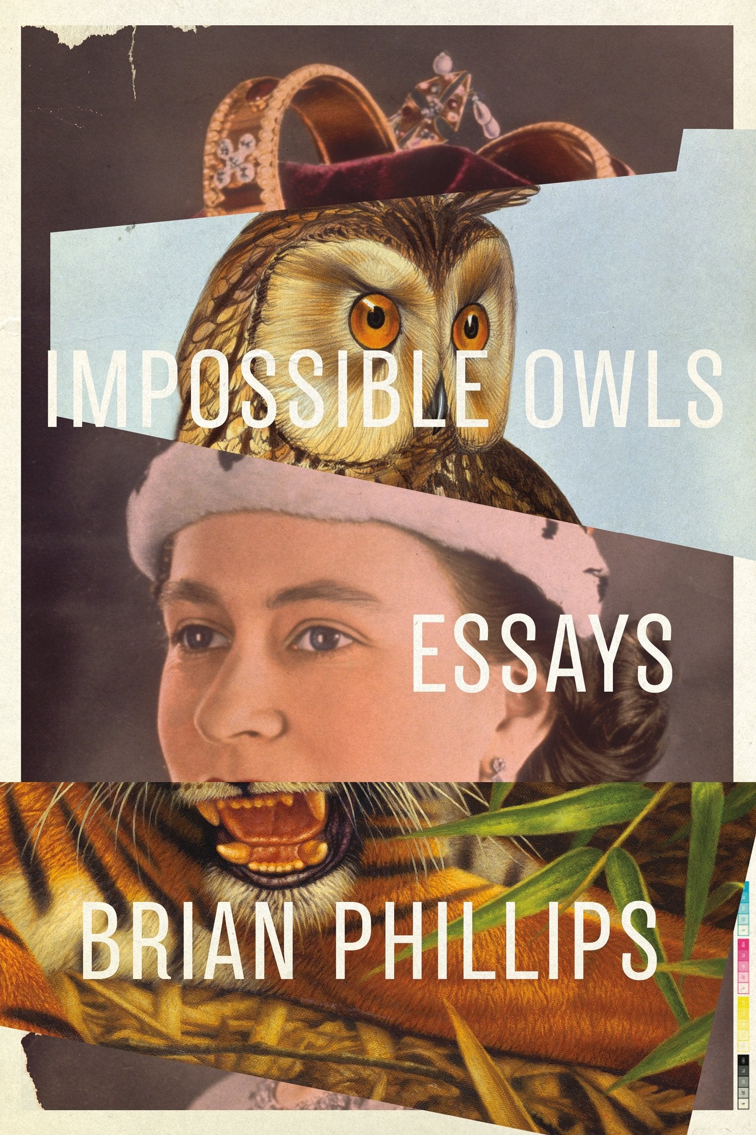 Impossible Owls: Essays book cover