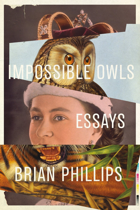 Impossible Owls: Essays book cover