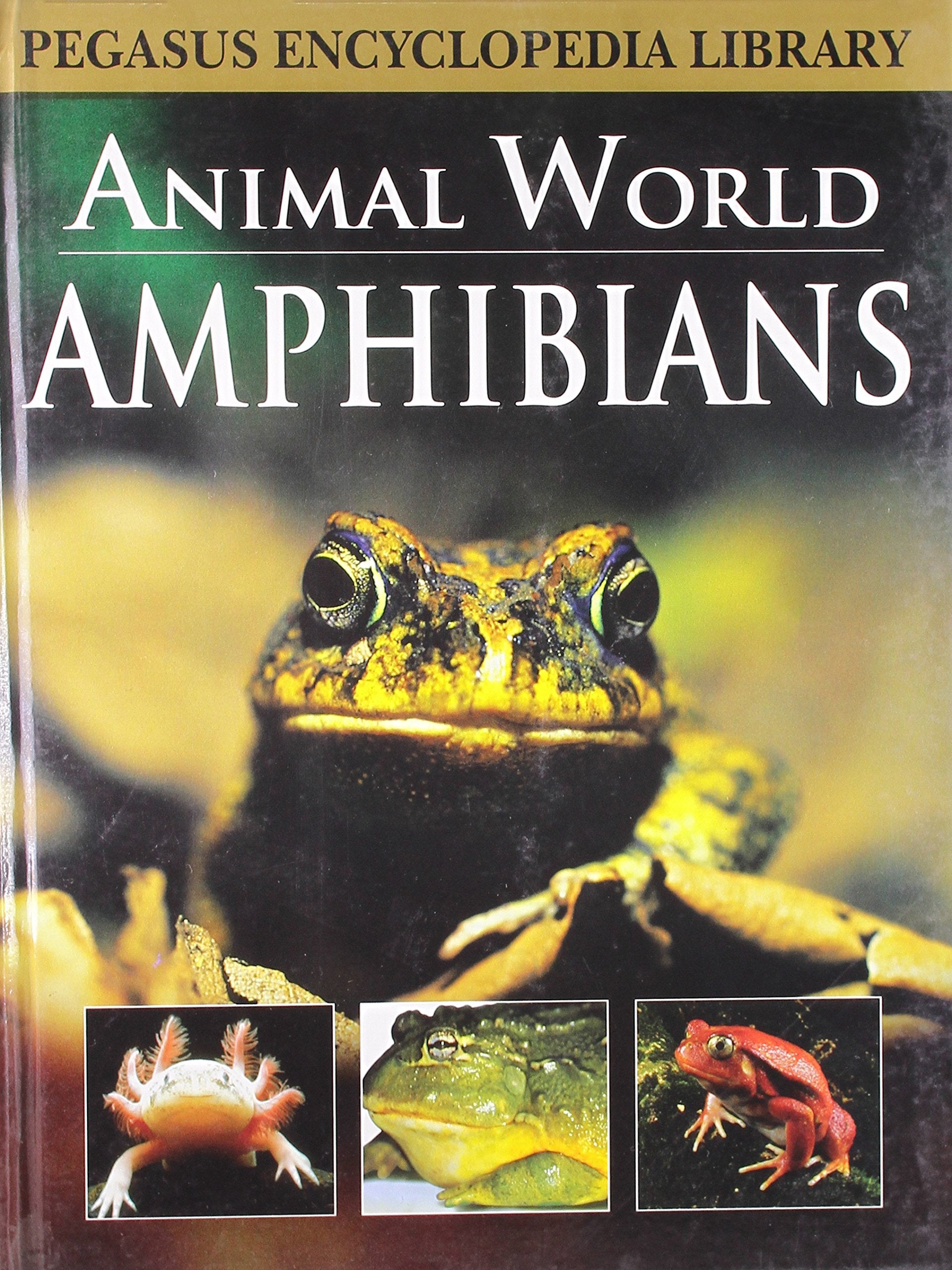 Amphibians book cover