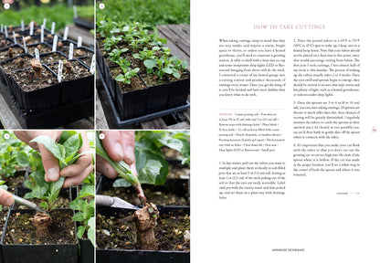 Floret Farm's Discovering Dahlias: A Guide to Growing and Arranging Magnificent Blooms