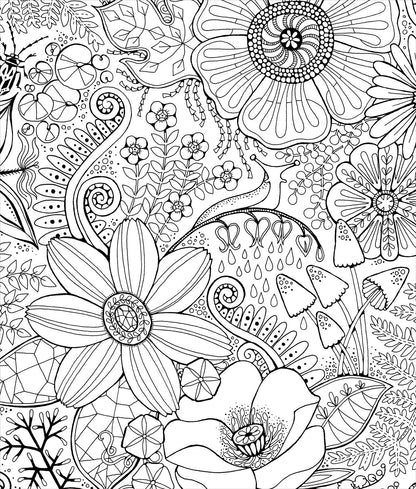 Color & Frame - In the Forest (Adult Coloring Book) 
