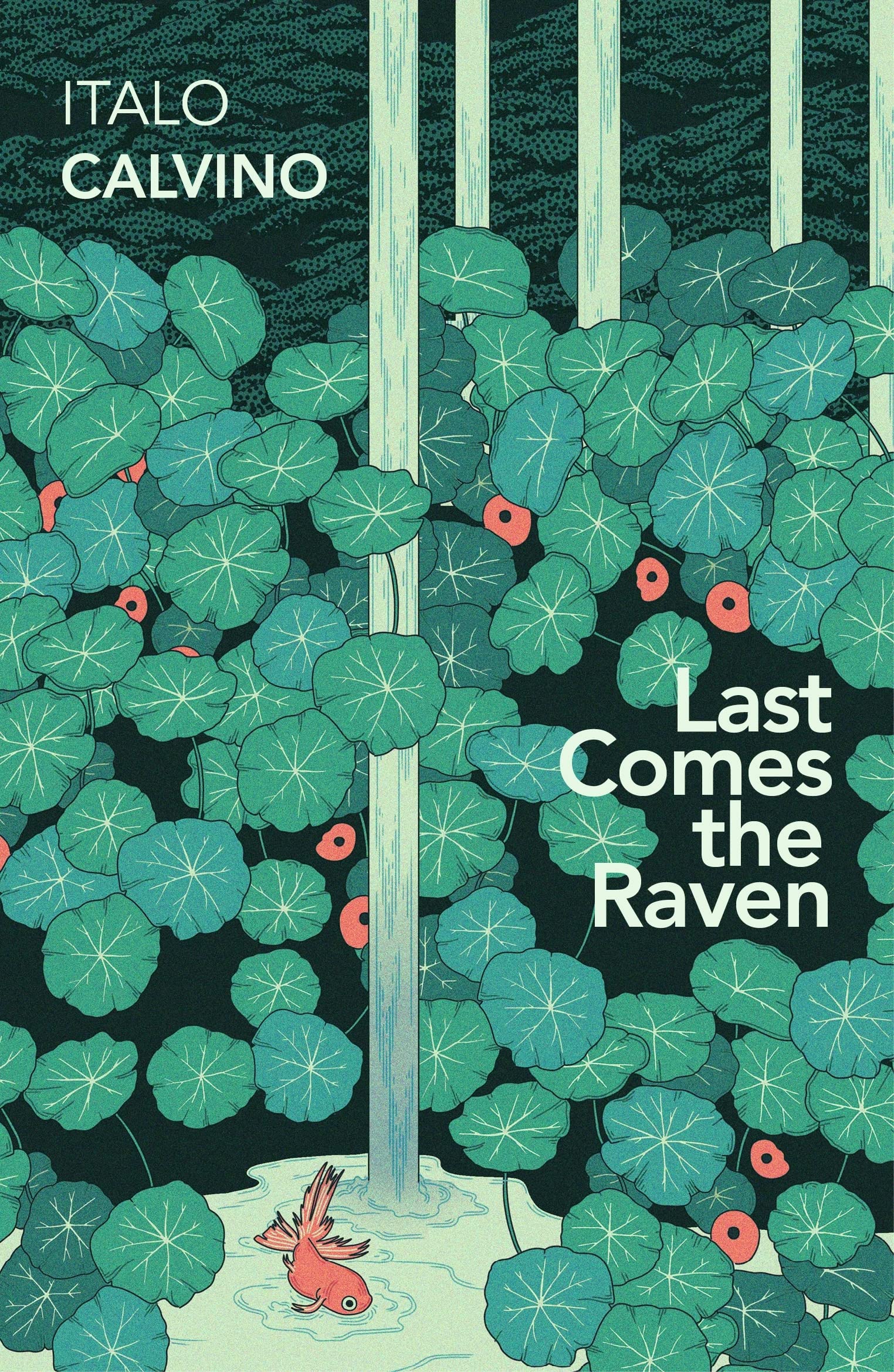 Last Comes the Raven book cover