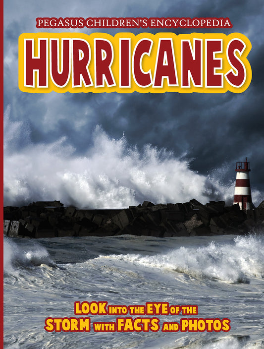 Hurricane book cover