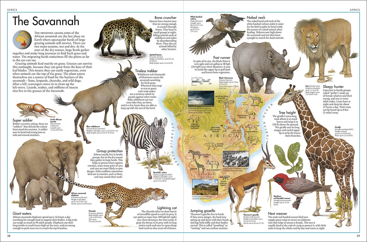 The Animal Atlas: A Pictorial Guide to the World's Wildlife