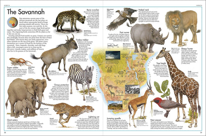 The Animal Atlas: A Pictorial Guide to the World's Wildlife