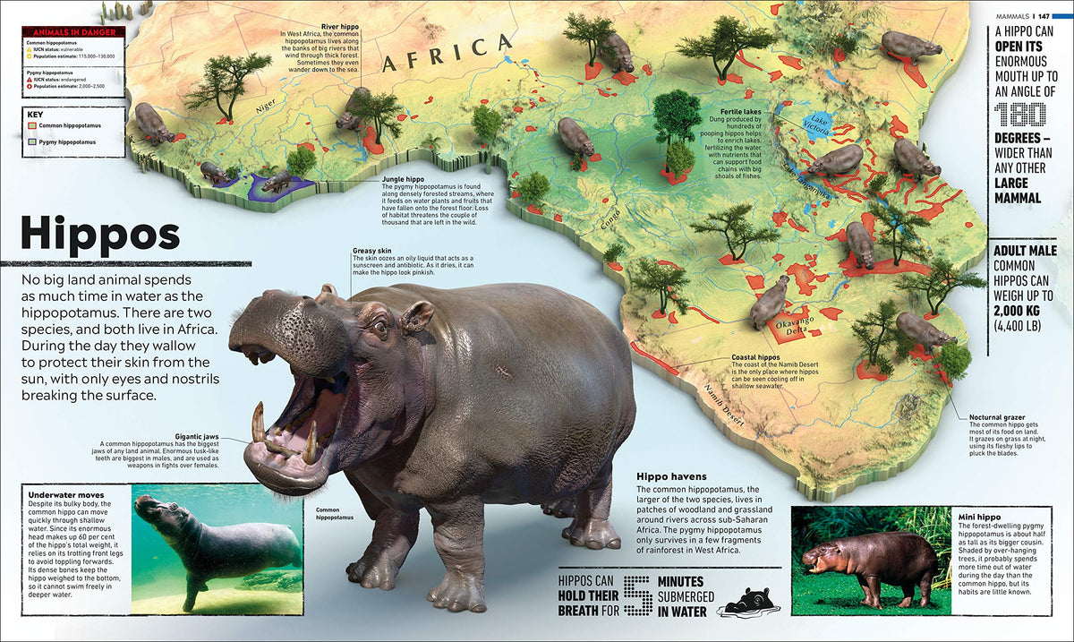 What's Where on Earth? Animal Atlas: The World's Wildlife as You've Never Seen it Before (DK Where on Earth? Atlases)